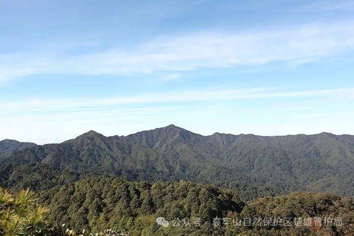 云南哀牢山新规出台：禁止任何单位和个人擅入哀牢山自然保护区<strong></p>
<p>币安下载</strong>，从事科研活动须报批