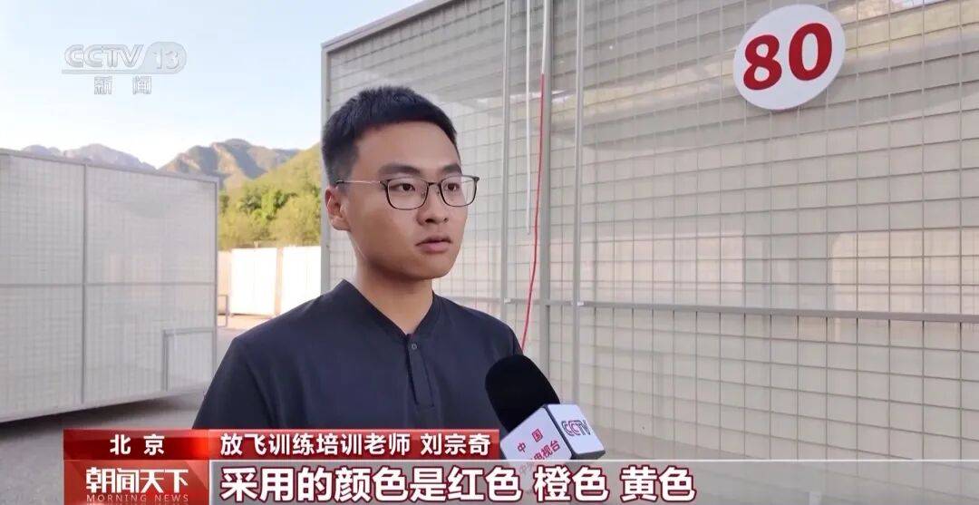 明天将放飞8万羽和平鸽、8万只气球<strong></p>
<p>币安下载</strong>，揭秘！