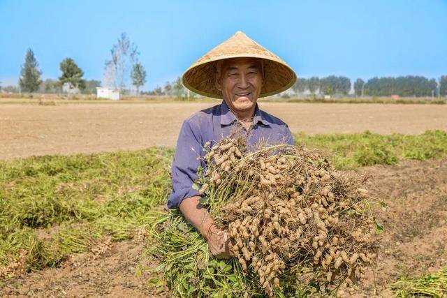 “花生上树”闹剧:AI翻车背后<strong></p>
<p>币安app下载</strong>,我们都在弄丢常识?