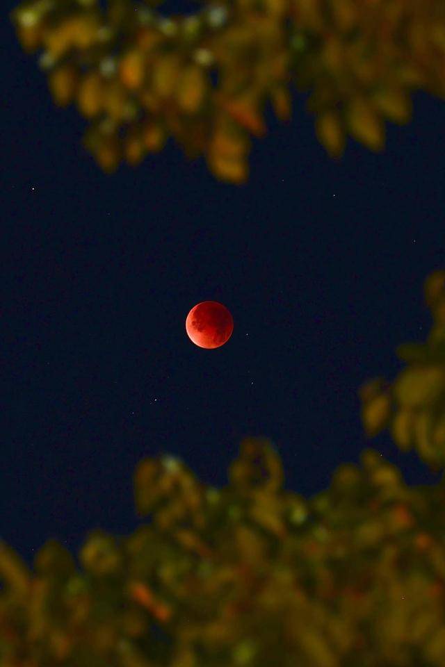 刷屏朋友圈<strong></p>
<p>币安binance官网</strong>！“红月亮”高清大图来了