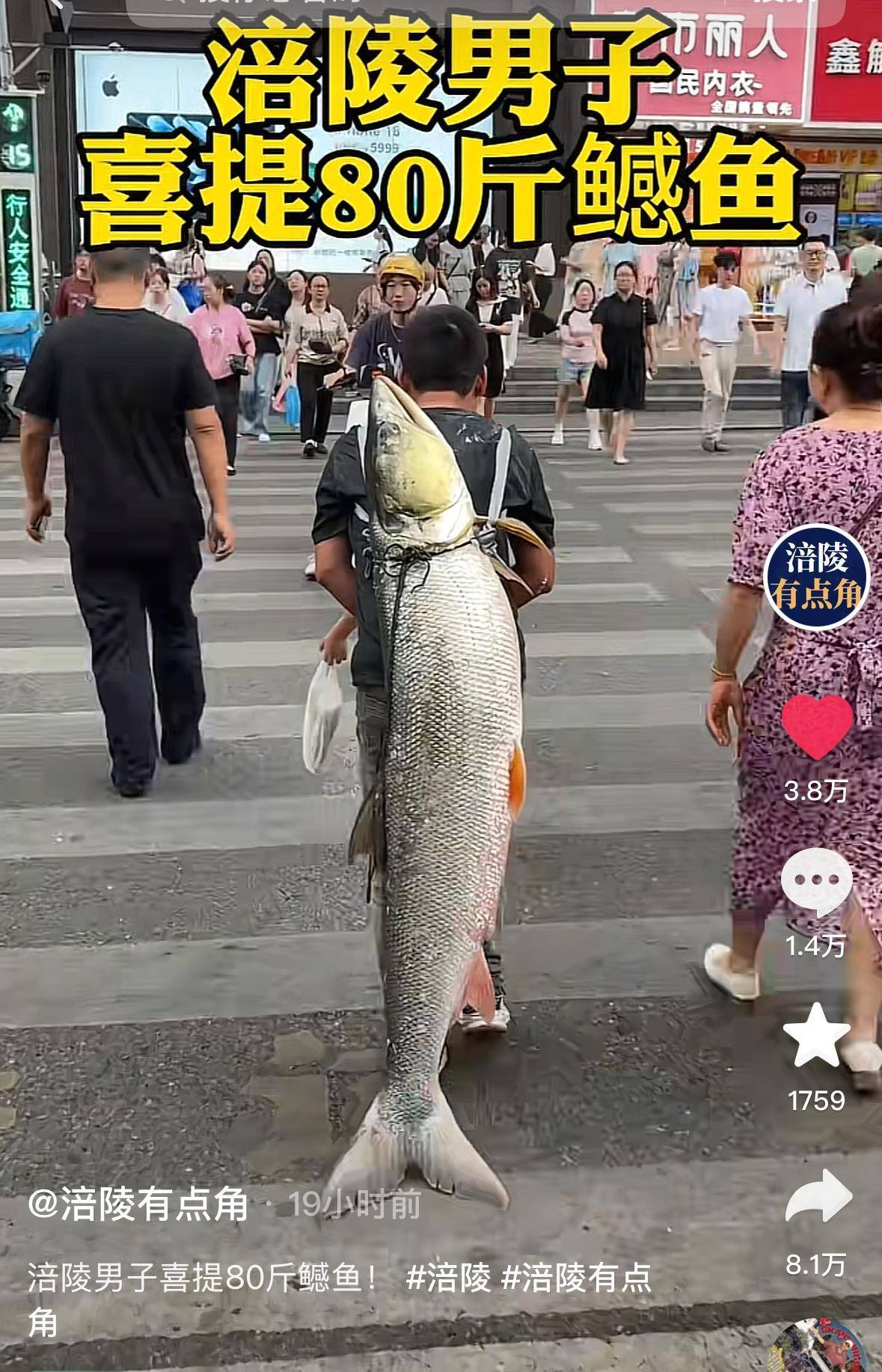 重庆一男子钓上79斤鳡鱼后<strong></p>
<p>币安创始人</strong>,背着鱼在闹市当“显眼包”穿行20分钟,本人:有1.64米长