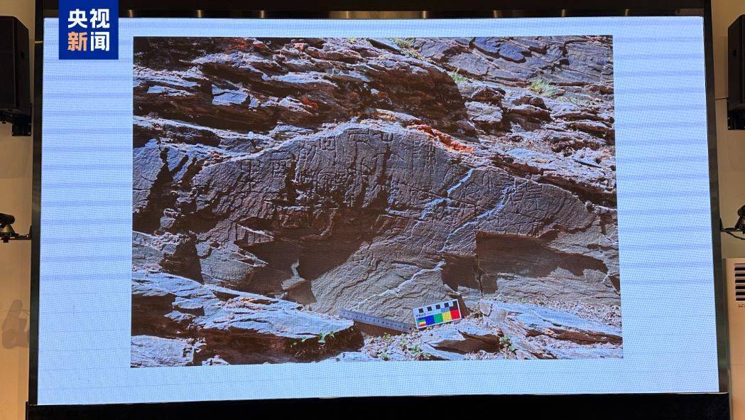 重要发现！扎陵湖秦代刻石得到认定！每经独家采访当地牧民：40年前就曾看见<strong></p>
<p>币安币</strong>，在他家牧场内