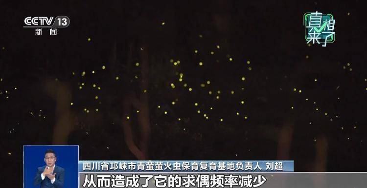 网传萤火虫濒临灭绝<strong></p>
<p>币安app</strong>，是真的吗？