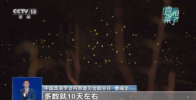 网传萤火虫濒临灭绝<strong></p>
<p>币安app</strong>，是真的吗？