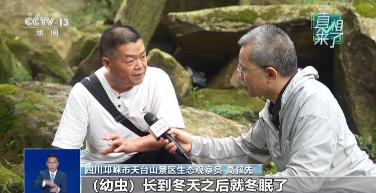 网传萤火虫濒临灭绝<strong></p>
<p>币安app</strong>，是真的吗？