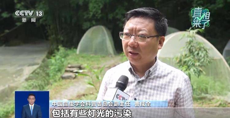 网传萤火虫濒临灭绝<strong></p>
<p>币安app</strong>，是真的吗？