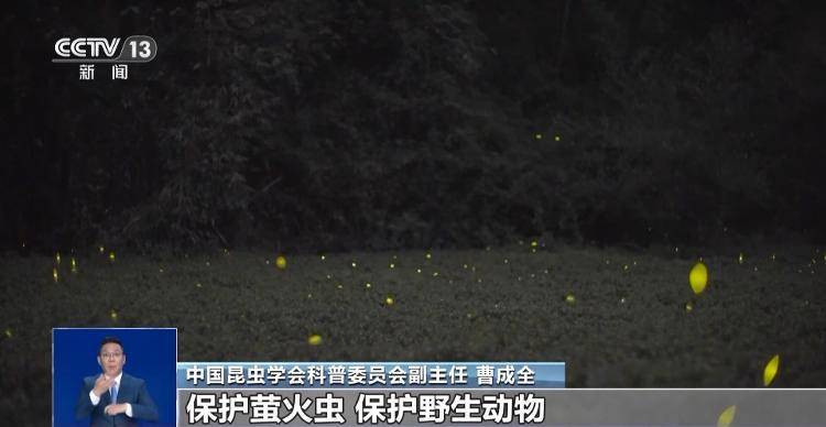 网传萤火虫濒临灭绝<strong></p>
<p>币安app</strong>，是真的吗？