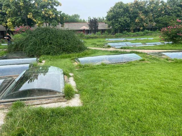 游客称殷墟博物馆人祭坑被填埋<strong></p>
<p>币安官网网址</strong>，博物馆回应：坑内陈列物系复制品，因整修暂时填埋