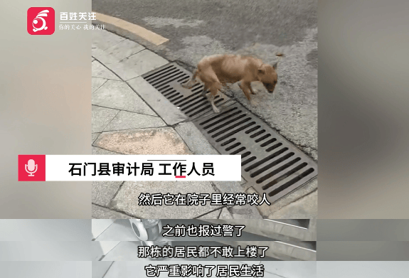 保安称“经常咬人”打死流浪犬<strong></p>
<p>币安官网网址</strong>，居民上门讨说法：这个门卫穷凶极恶