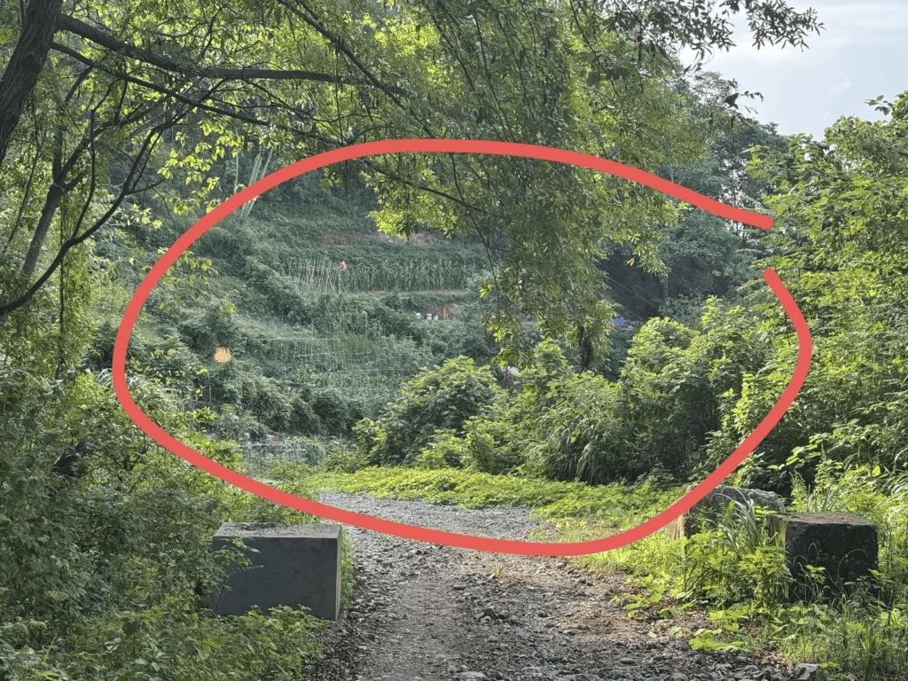 杭州女子误踩“化骨水”身亡<strong></p>
<p>币安交易</strong>,当地:已锁定化学品所有者,发现三桶,一桶完整,两桶残余