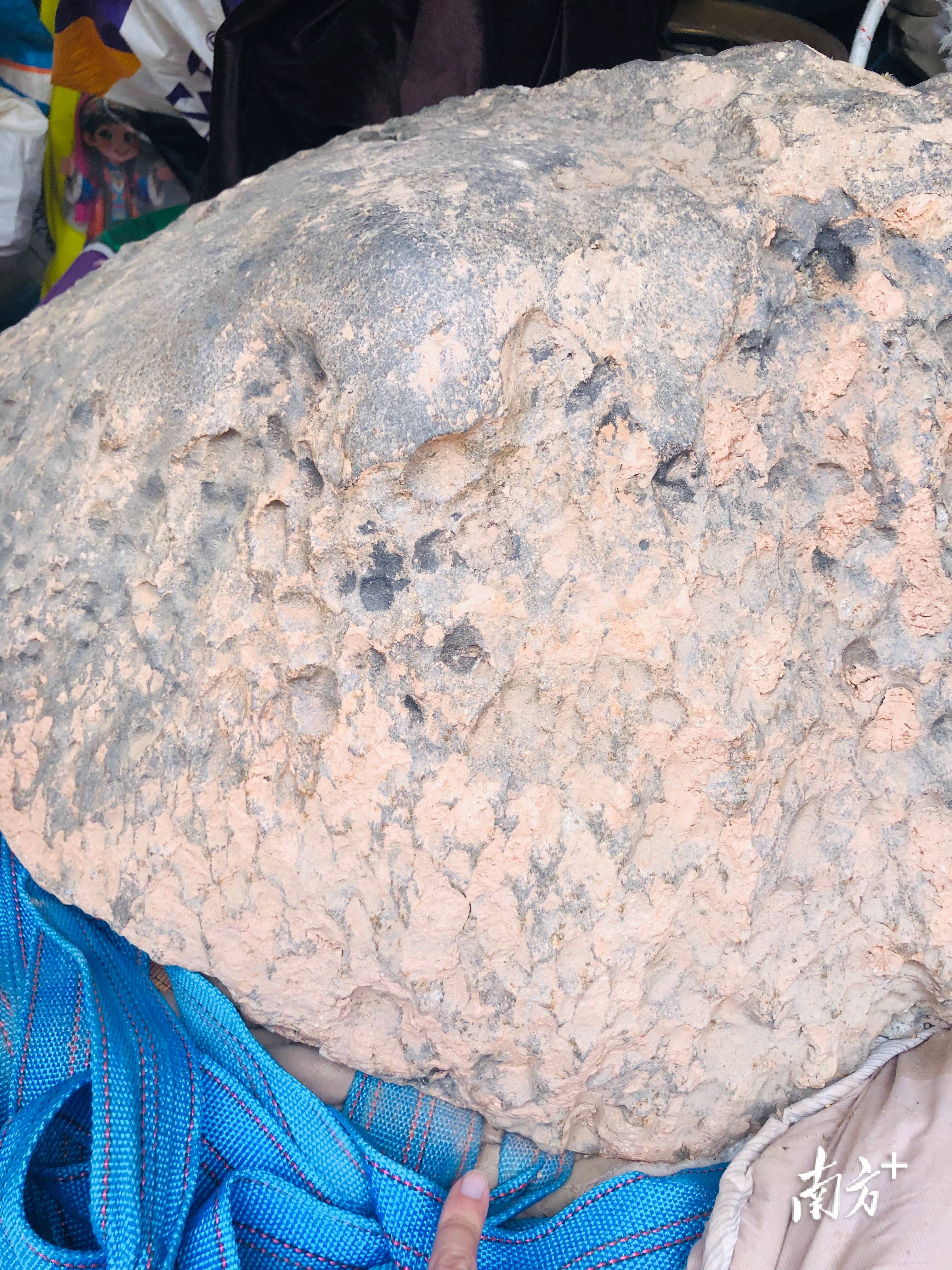 423公斤陨石在茂名电白挖出<strong></p>
<p>币安钱包</strong>，系国内目击降落第二大单体陨石