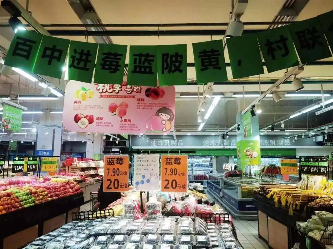 国企联村·强村富民｜一颗蓝莓激活乡村振兴<strong></p>
<p>安币</strong>，书写荒坡变宝地新篇