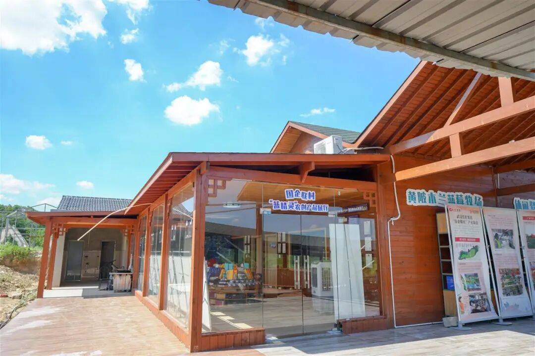 国企联村·强村富民｜一颗蓝莓激活乡村振兴<strong></p>
<p>安币</strong>，书写荒坡变宝地新篇