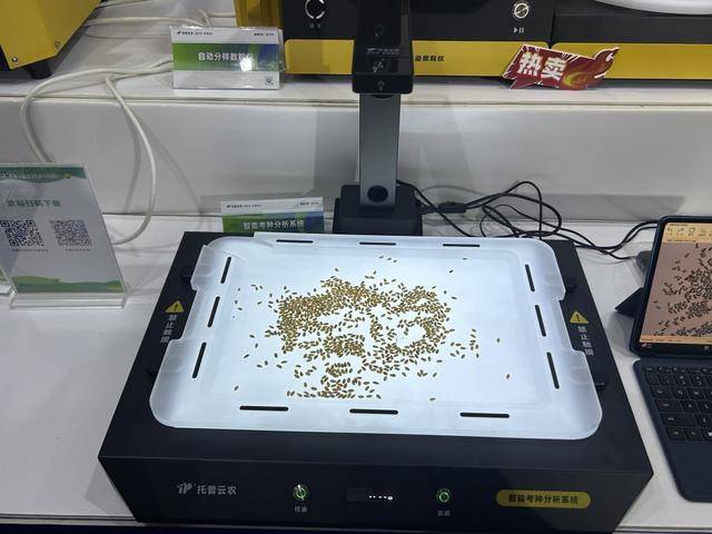 紫色向日葵、多彩胡萝卜、双色火龙果亮相青岛<strong></p>
<p>安币</strong>，种子盛会变身“未来食物实验室”