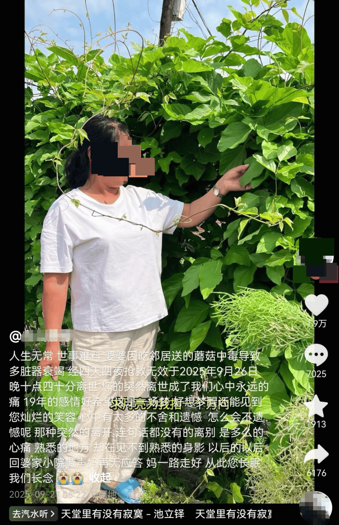 网红发文悼念婆婆:吃了邻居送的蘑菇中毒<strong></p>
<p>币安老板</strong>,抢救四天四夜死亡!这些蘑菇避毒原则可能是陷阱→