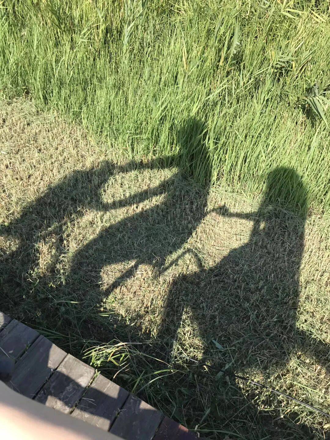 纸质火车票退场<strong></p>
<p>币安注册</strong>，每道折痕里都藏着远方、爱情与山河记忆