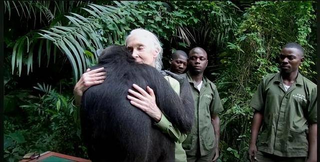 “课本上的传奇”<strong></p>
<p>币安交易平台</strong>，走了