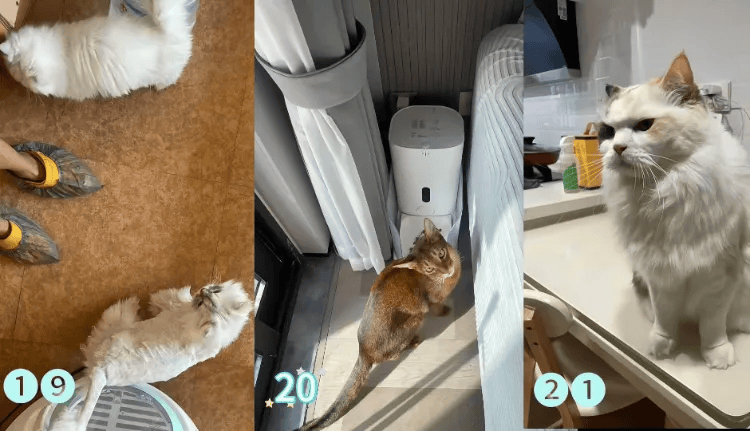 这个需求激增！一男子连接270单<strong></p>
<p>币安网址</strong>，其中一笔收费8100元