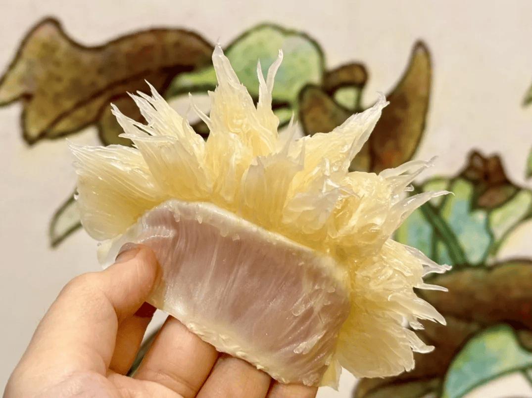 没有什么能阻挡！今天<strong></p>
<p>币安网址</strong>，广西人就是要回家！