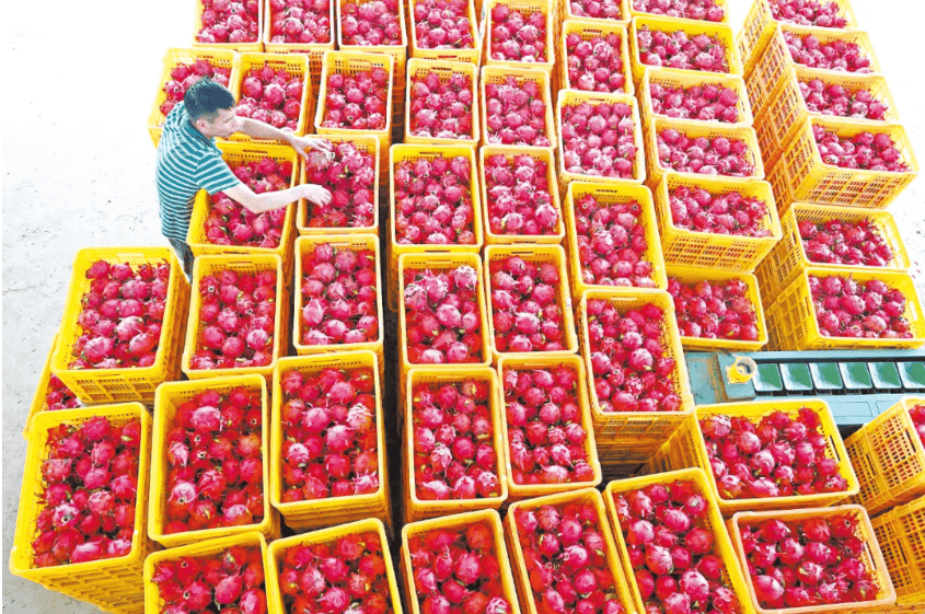 没有什么能阻挡！今天<strong></p>
<p>币安网址</strong>，广西人就是要回家！