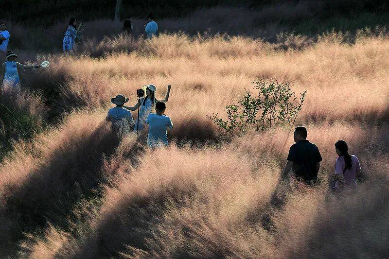 打卡拍照<strong></p>
<p>币安交易所官网</strong>，再美也不能用生命对焦