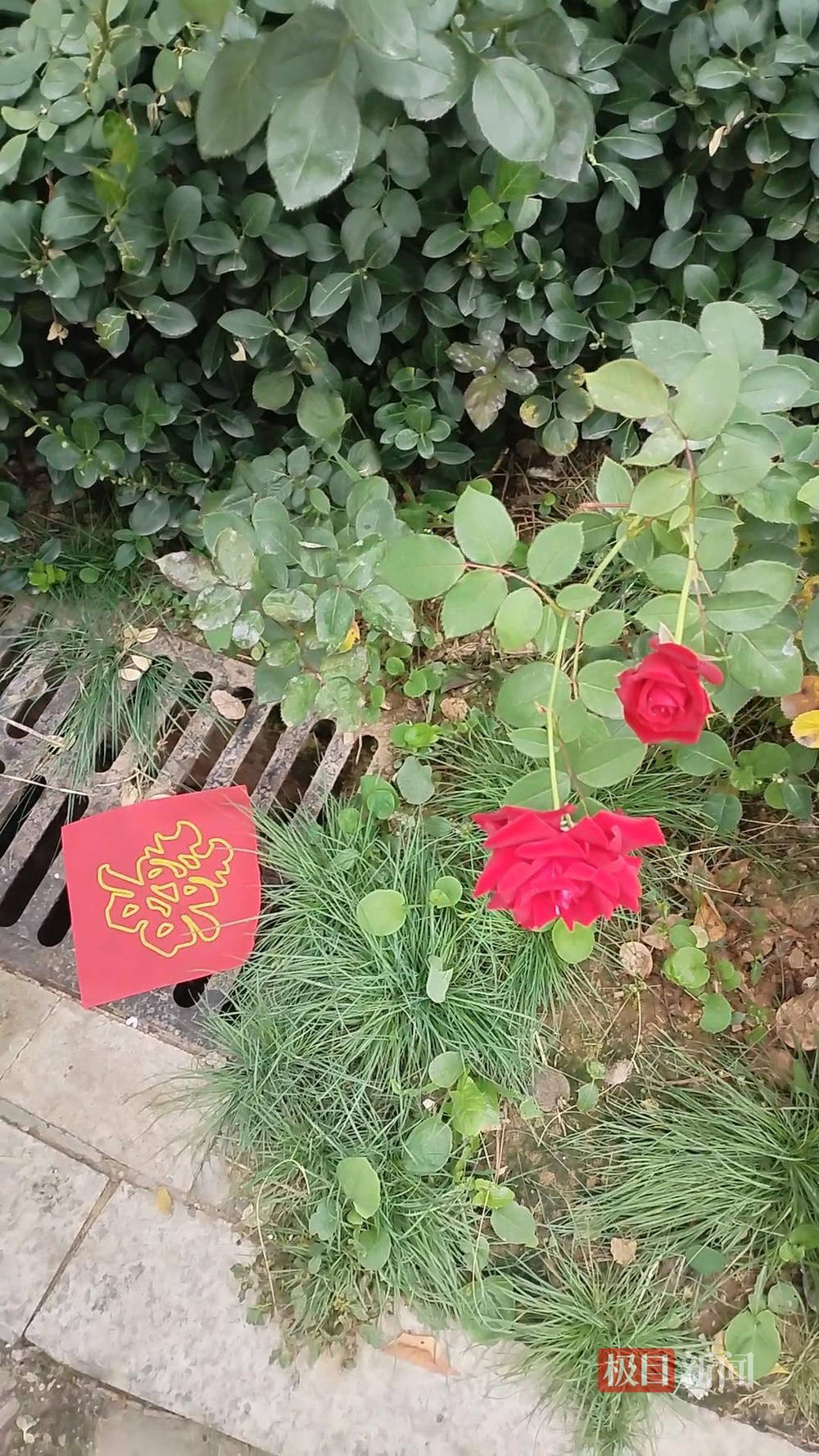 山西婚礼要在下水道井盖贴“喜”字？有的井盖被贴了8张<strong></p>
<p>币安交易所官网</strong>，当地居民：寓意不踩坑、驱晦迎喜