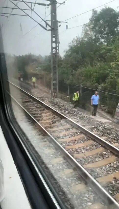 湖北一列车撞上野猪致停运<strong></p>
<p>币安官网下载</strong>，铁路局：野猪已无害化处理，列车正常运行；附近曾发生多起野猪伤人事件