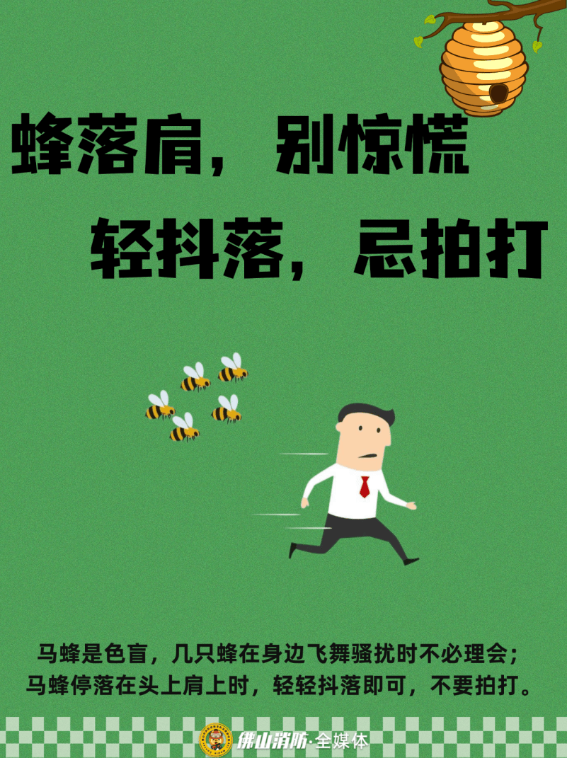深圳一市民突遭马蜂围袭！已进入高发期<strong></p>
<p>币安官网入口</strong>，千万别招惹！