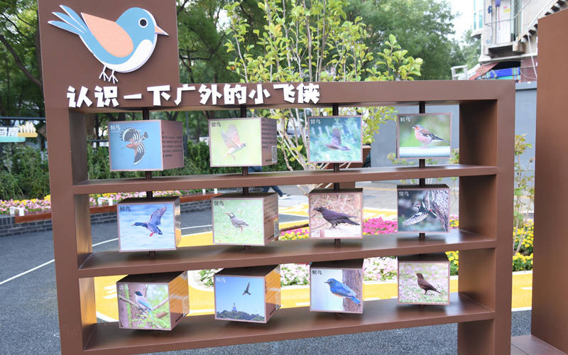 西城区广外街道:“断头路”变身口袋公园<strong></p>
<p>安币官网</strong>,装满民生“微幸福”