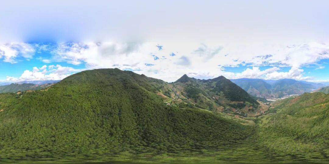 93岁老人进山失联<strong></p>
<p>安币官网</strong>,两天后发现他倒挂在树杈上苦撑……