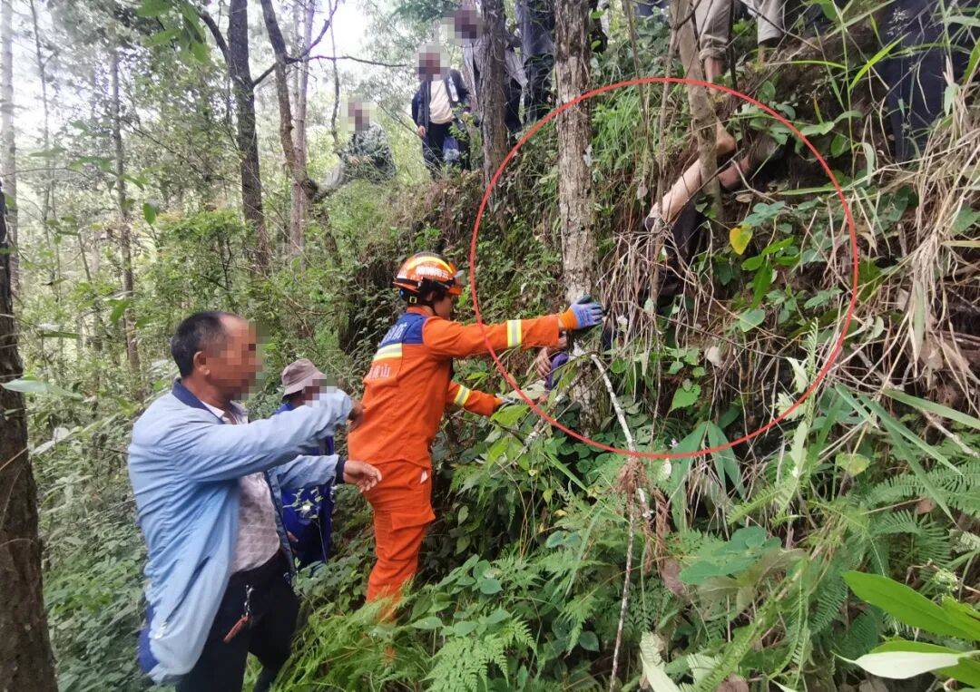 93岁老人进山失联<strong></p>
<p>安币官网</strong>,两天后发现他倒挂在树杈上苦撑……