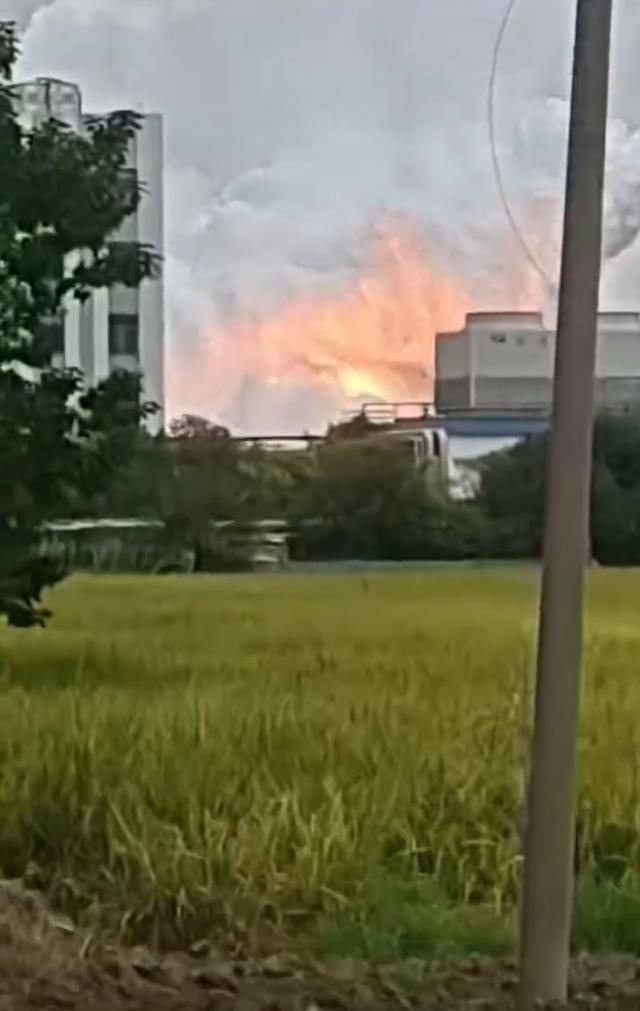 澄星股份工厂发生火灾？附近酒店：已灭火<strong></p>
<p>币安智能链</strong>，有刺激性气味，建议不开窗