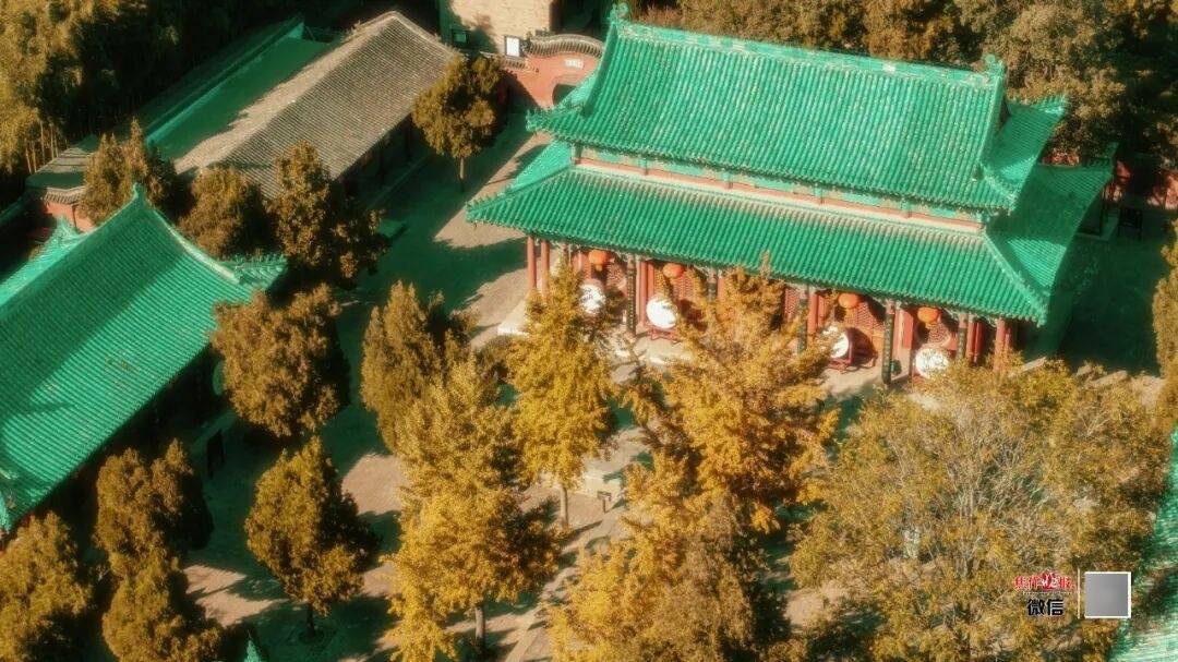 银杏金黄<strong></p>
<p>币安下载链接</strong>!铺满焦作的秋天!