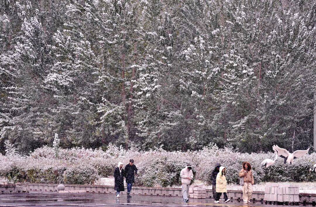 今年冬天是“超级冷冬”<strong></p>
<p>币安下载链接</strong>?最新回应