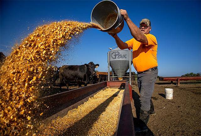 又输给了李成钢<strong></p>
<p>币安合约</strong>，贝森特承诺：美方不再考虑对华加征100%关税