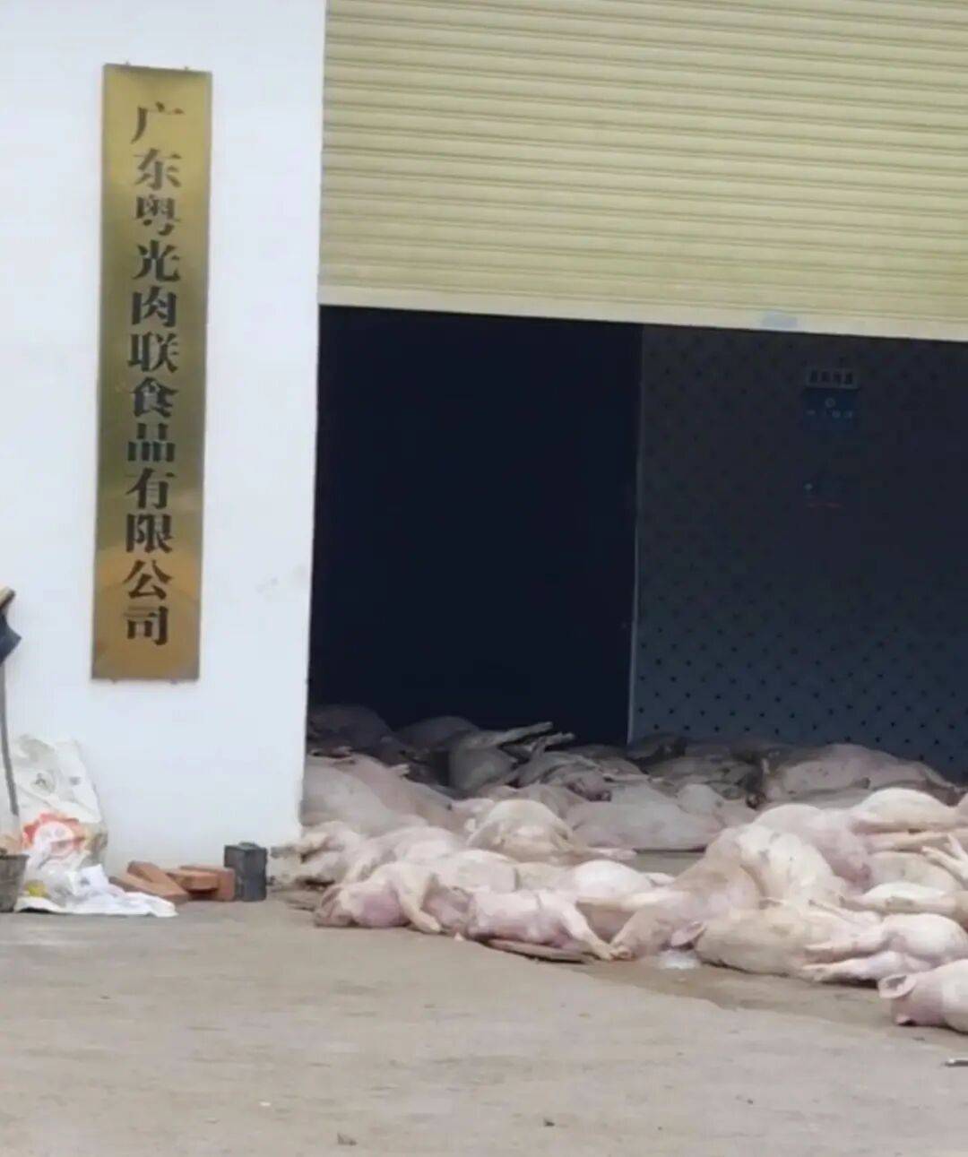 广东一肉联公司门口堆满死猪<strong></p>
<p>ERC20</strong>,官方:7人被控制