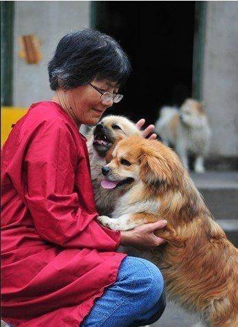 合肥卖房救助流浪狗的魏阿姨离世<strong></p>
<p>pancakeswap</strong>，病中仍然惦记着基地的600只流浪狗，工人：不敢相信世上还有这样执着的人