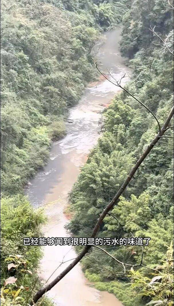 重庆通报:坚决查处<strong></p>
<p>币乎</strong>,绝不姑息