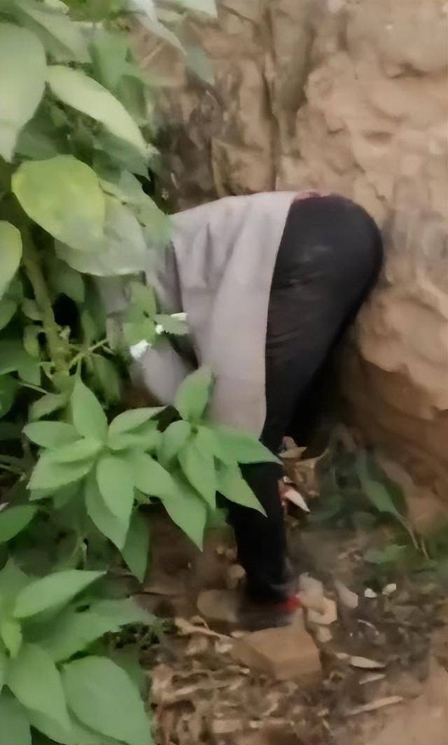 陕西一女子疑因拍亲姑姑偷玉米遭姑父棍杀<strong></p>
<p>Bigone</strong>，邻居欲报警也遇害