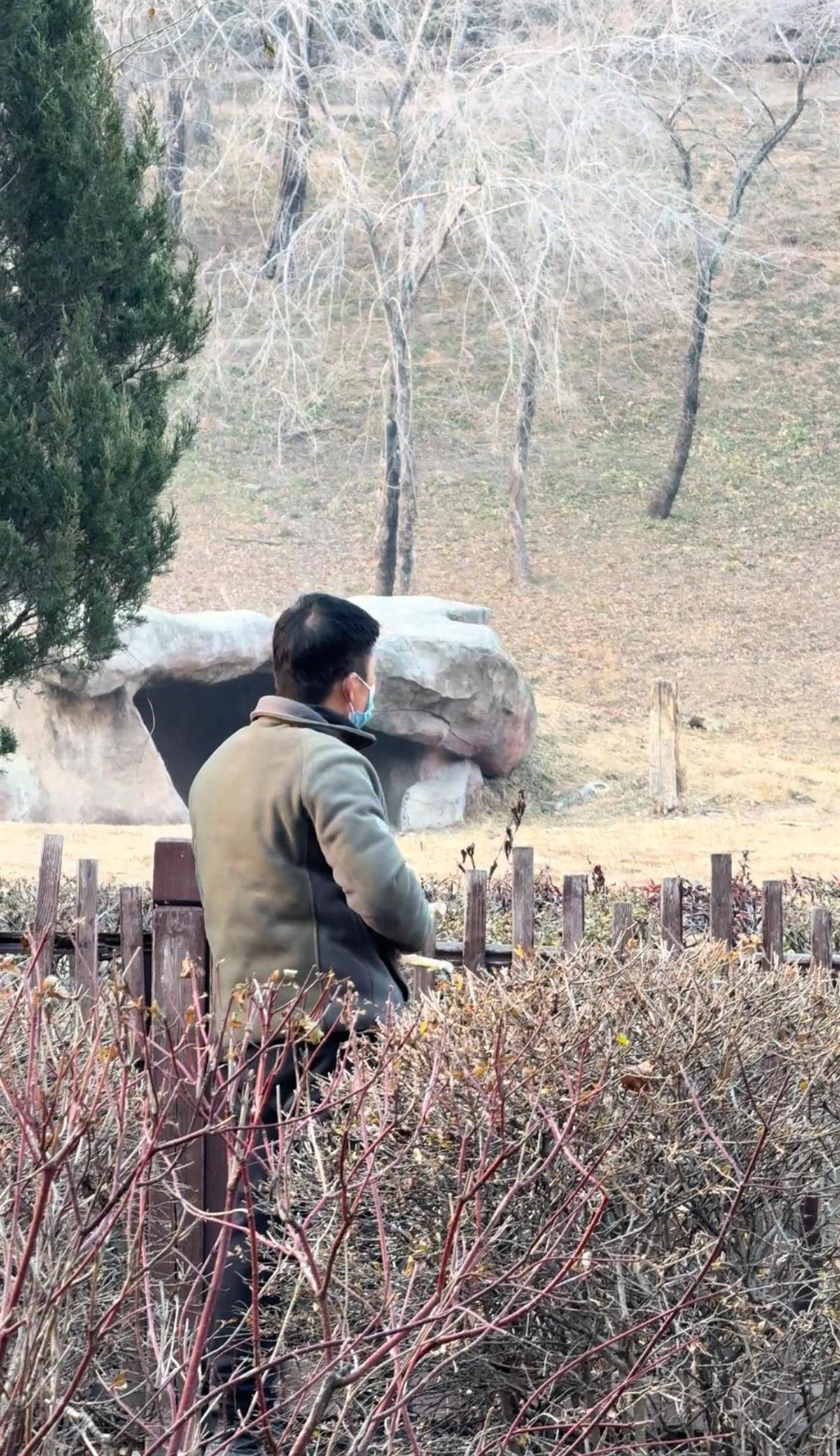 沈阳一男子动物园内用弹弓射老虎<strong></p>
<p>欧易OKEX官网</strong>，目击者称其“填装了弹丸”，打完后老虎爬起来了，园方：正在核实情况