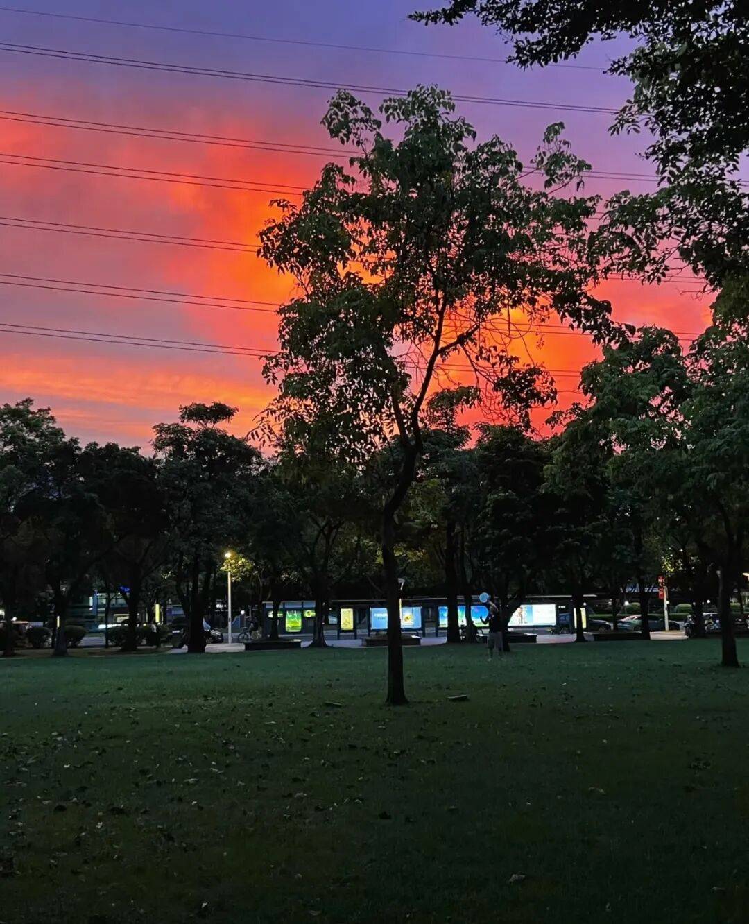 第一批丁克老后<strong></p>
<p>欧易OKEX官网</strong>,“伴侣能陪一程,但最后都要靠自己”