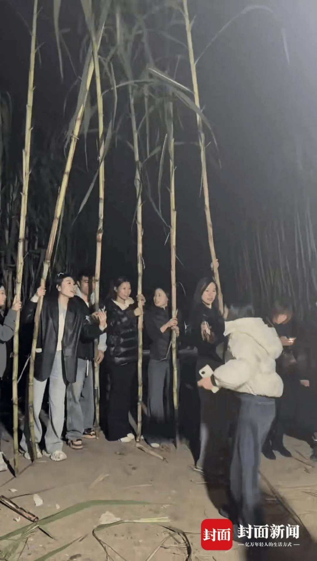 四川眉山“偷甘蔗农场”爆火!增设2.99元入场费后<strong></p>
<p>欧易OKEX官网</strong>,地里仍来了上千游客,“偷甘蔗”被逮到的人要表演才艺,老板:日销售有时近万元