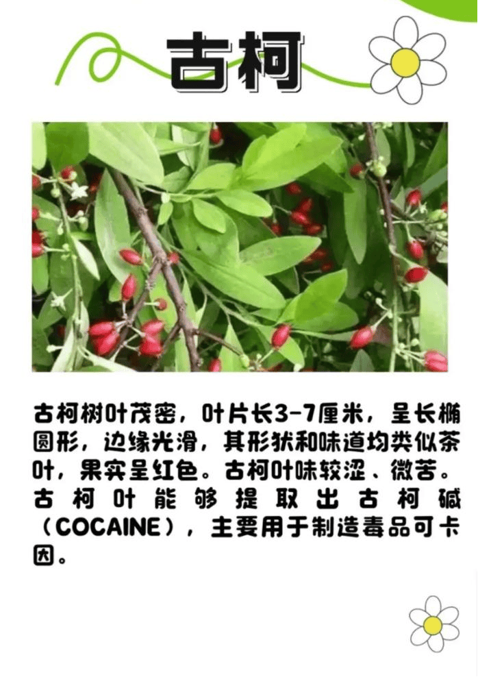 悬赏1500万美金！前奥运选手涉多起案件<strong></p>
<p>聚币网</strong>，被列入十大通缉犯