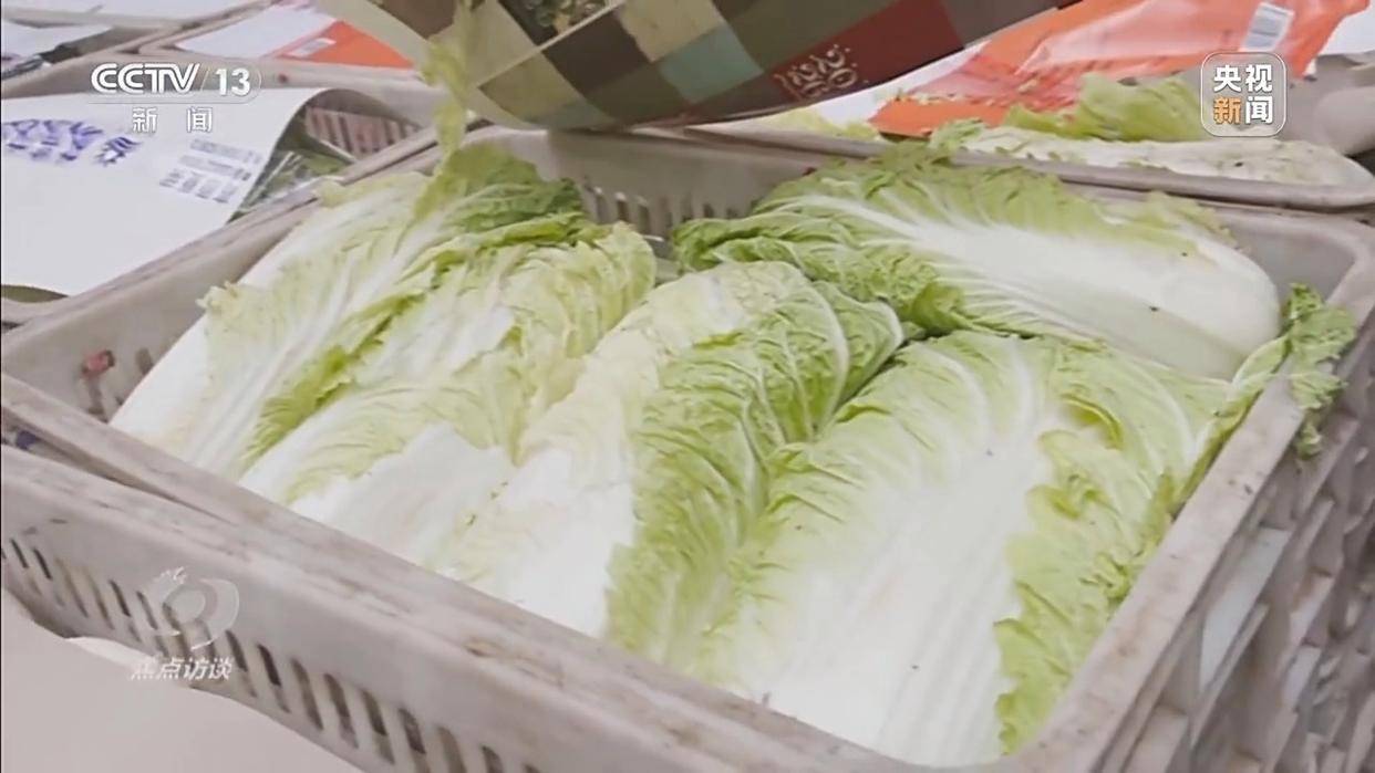 单棵售价超百元<strong></p>
<p>BLUR币</strong>，起底“套牌白菜”背后的销售套路