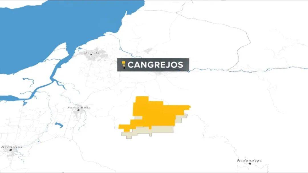 掏出71亿元现金<strong></p>
<p>VIABTC</strong>,河南巨头拿下国外四座金矿!
